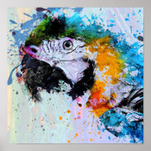 Paint Splash Parrot | POSTER IMPRESSÃO