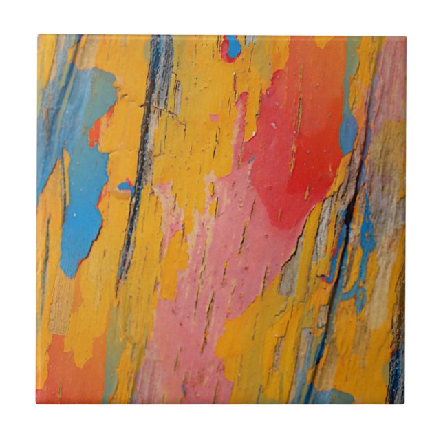 Paint Splatter colorido (Frente)