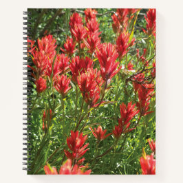 Paintbrush Spiral Notebook