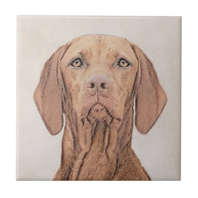Painting Vizsla - Arte de Cachorro Original (Frente)