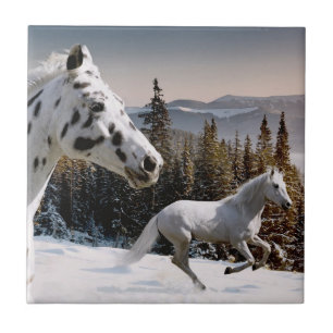 País das maravilhas do inverno