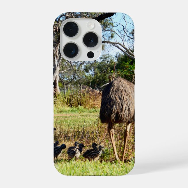 Pais Emu Levando Filhotes Para Caminhar, (Verso)