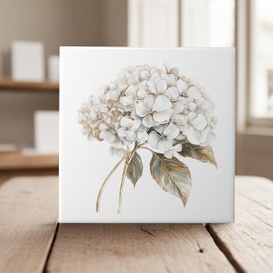 País francês Elegante de hydrangea de marfim branc