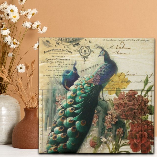 país francês vitoriano e moderno pavão-de-safra (victorian french country modern vintage peacock tile)