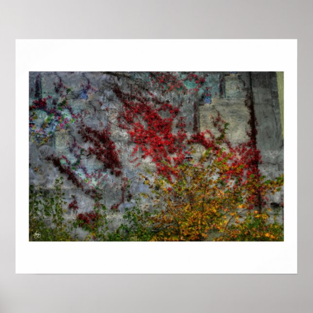 País Norte - Poster de Pollock (Frente)