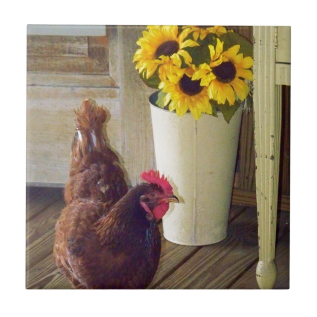 País verdadeiro (Frente)