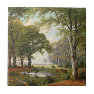 Paisagem da Floresta da Noite