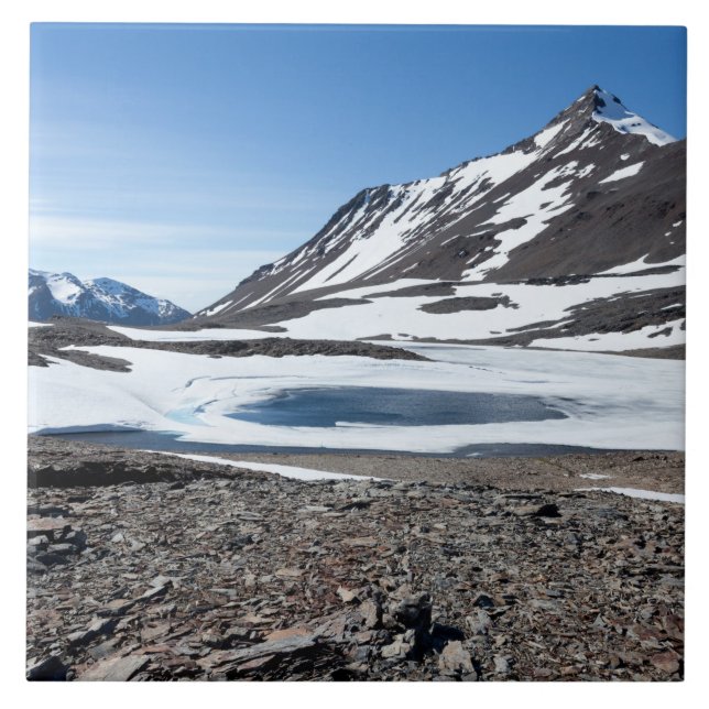 Paisagem da Geórgia do Sul (Frente)