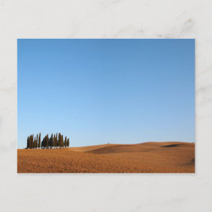 Paisagem da Toscana com cyprestes e cartão postal