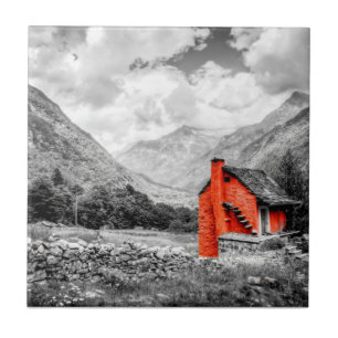 Paisagem de campo - Fotografia branca e negra