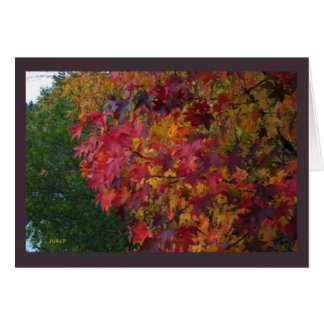 Paisagem de Cartão 16