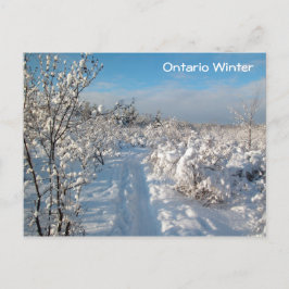 Paisagem de inverno - Cartão postal