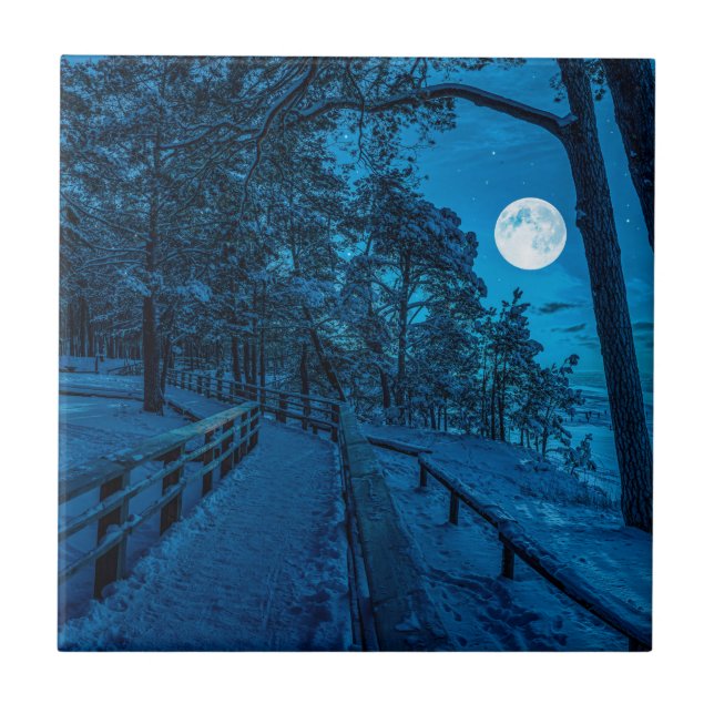 Paisagem de inverno com floresta de pinheiros cobe (Frente)