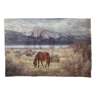 Paisagem de inverno de Nevada.