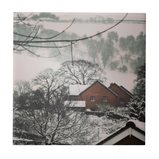 Paisagem de inverno sombria, Powys Wales (Frente)