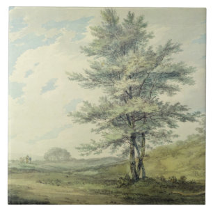 Paisagem de Joseph Mallord William Turner   com