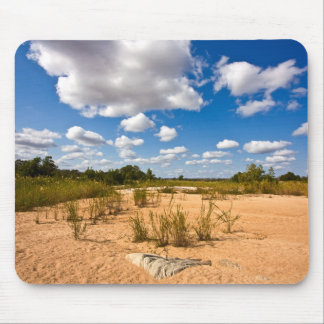 Paisagem de Kruger - Mousepad