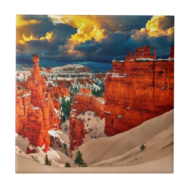 Paisagem de neve Inverno frio (Frente)