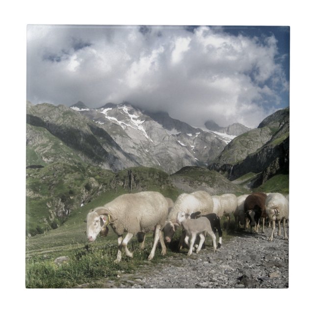 paisagem de pirenéus (Frente)