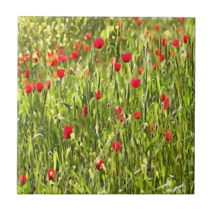 Paisagem de Popia de Prado Artístico