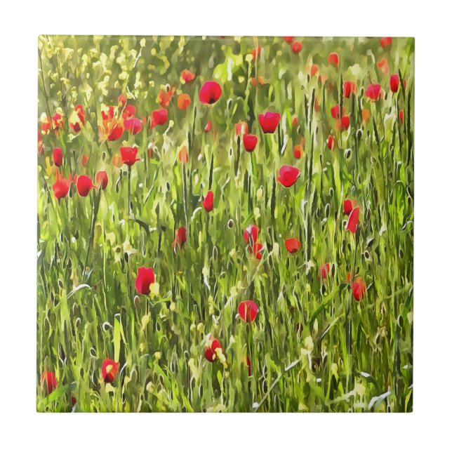 Paisagem de Popia de Prado Artístico (Frente)