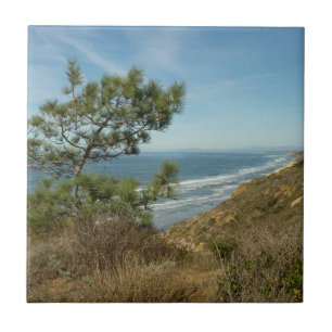 Paisagem de Torrey Pine e Costa da Califórnia