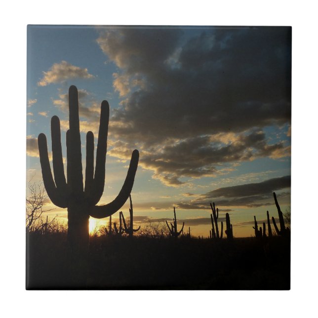 Paisagem do Deserto de Arizona Saguaro Sunset II (Frente)