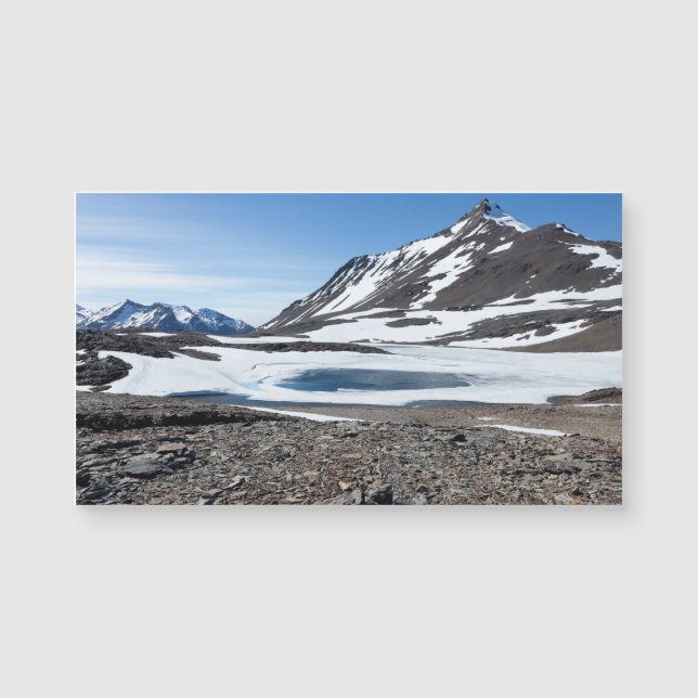 Paisagem do Sul da Geórgia (Frente)