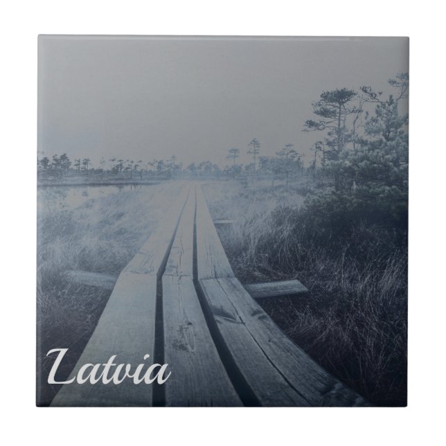 Paisagem dos pântanos (Frente)