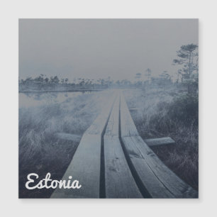 Paisagem dos pântanos