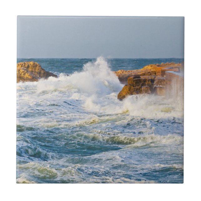 Paisagem marinha (Frente)