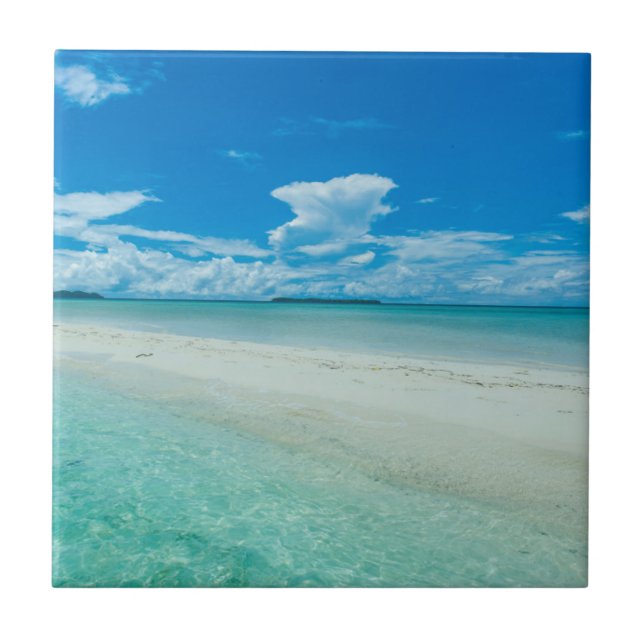 Paisagem marinha tropical azul, Palau (Frente)