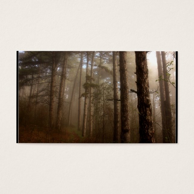 Paisagem Natural das Árvores Florestais (Frente)