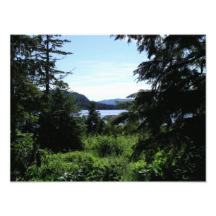 Paisagem no Alaska Belo Alaska Fotografia