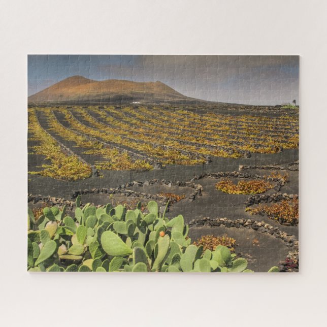 Paisagem Quebra-cabeça de Lanzarote - Vineyard (Horizontal)