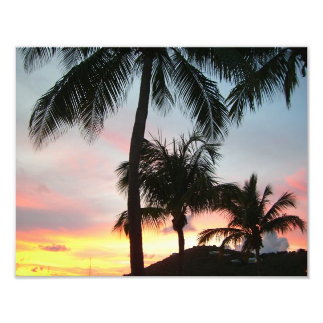 Paisagem Tropical de Palms Sunset Fotografia (Frente)
