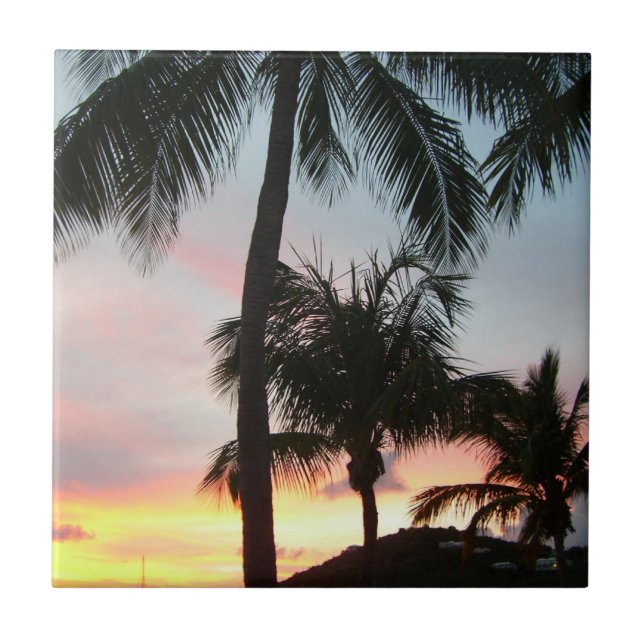 Paisagem Tropical de Palms Sunset Fotografia (Frente)
