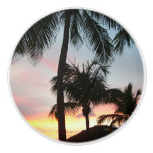 Paisagem Tropical de Palms Sunset Fotografia