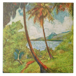 Paisagem tropical em Martinica (Charles Laval)