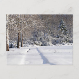 Paisagem. Um Cartão Postal Sazonal.