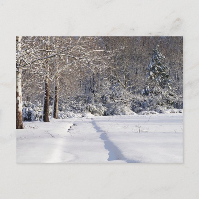 Paisagem. Um Cartão Postal Sazonal. (Frente)