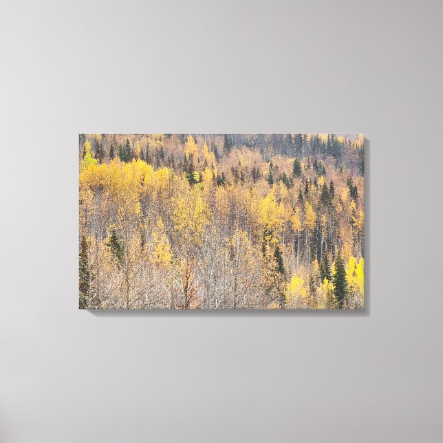 Paisagem Yellow Orange Alaska Autumn Canvas Print (Frente)