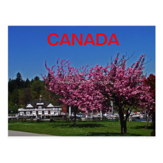 canada ganso calgary
