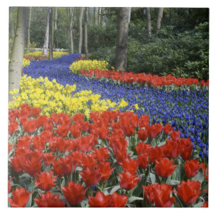 Países Baixos, Holanda, Lisse, Jardins Keukenhof