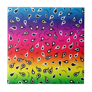 Paisley Rainbow