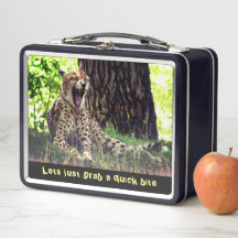 Paixão comida - Grande Animal Gato