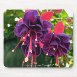 "Paixão cor-de-rosa roxa" Mousepad