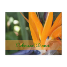 Paixão em cartões postais do Janto de Ensaio do Pa