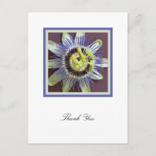 Paixão Flor Simpatia Obrigado Cartão Postal