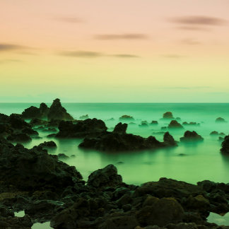 PAKE SALMON - CALENDÁRIO HAWAIIAN FINE ART 2024